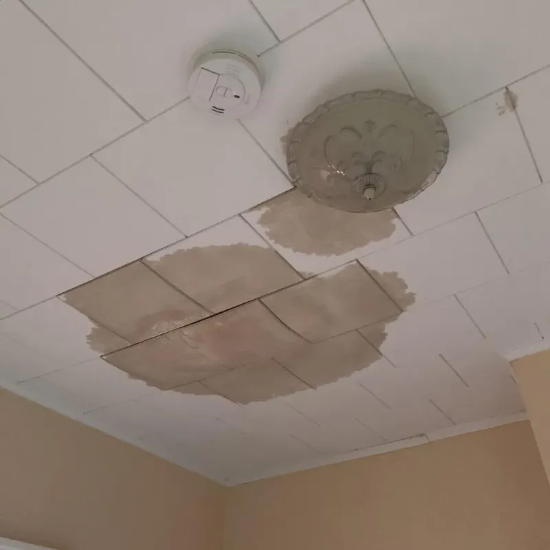 Ceiling Water Damage Repair in Yale, OK