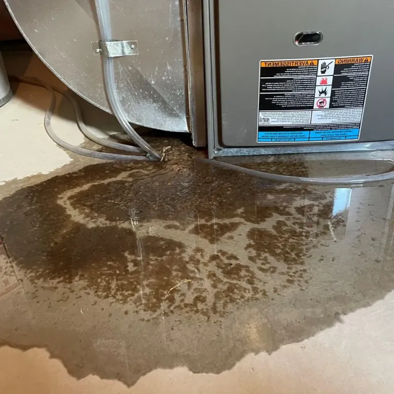 Pipe Burst and Leak Restoration in Yale, OK